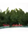 Fleco de Pluma de Pavo 10/12cm aprox. Verde Cazador 1mt.