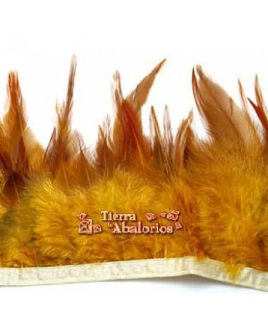 Tira de Plumas de Pavo, Caldera (metro)