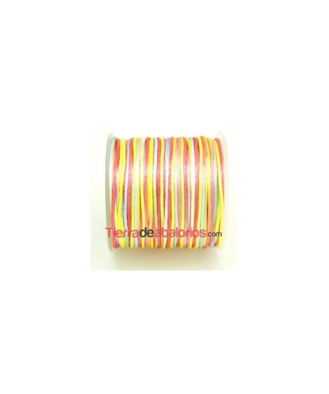 Cola de Ratón 2mm Multicolor Pastel