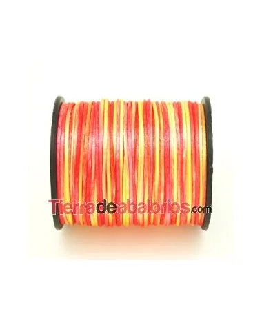 Cola de Ratón 2mm Multicolor Cálido