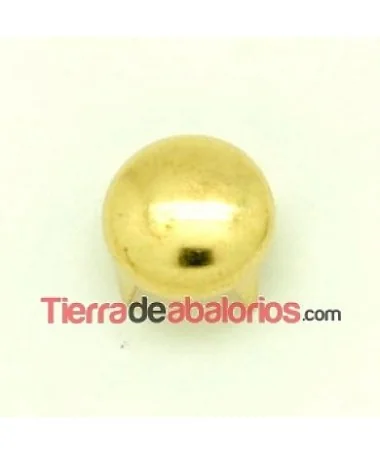 Tacha Circulo 12mm Dorada