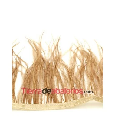 Pluma de Avestruz 12/15cm. Camel