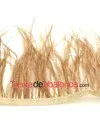 Pluma de Avestruz 12/15cm. Camel