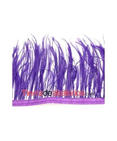 Pluma de Avestruz 12/15cm. Morado (por metro) Pluma de Avestruz 12/15cm. Morado
