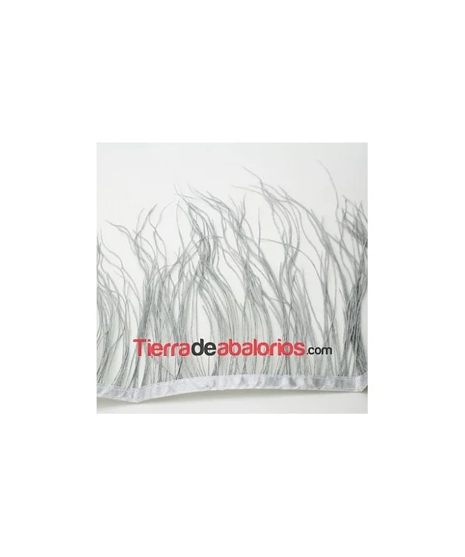 Pluma de Avestruz 12/15cm. Gris (20cm)
