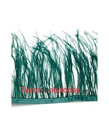 Pluma de Avestruz 12/15cm. Verde Botella