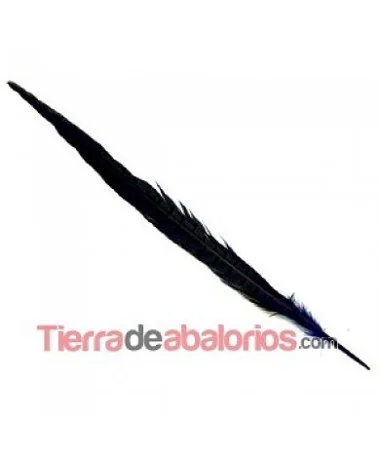 Pluma de Faisán de 45cm. Azul Marino Pluma de Faisán de 45cm. Azul Marino
