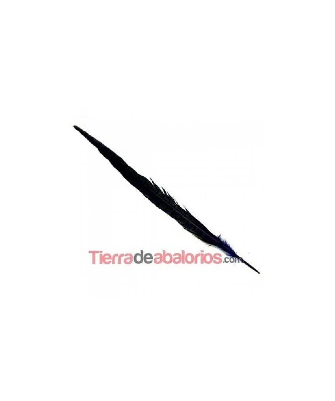 Pluma de Faisán de 45cm. Azul Marino