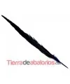 Pluma de Faisán de 45cm. Azul Marino