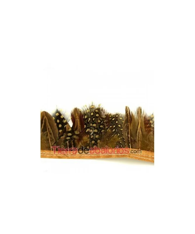 Tira de Plumas de Gallina de Guinea Oro Viejo 1mt.