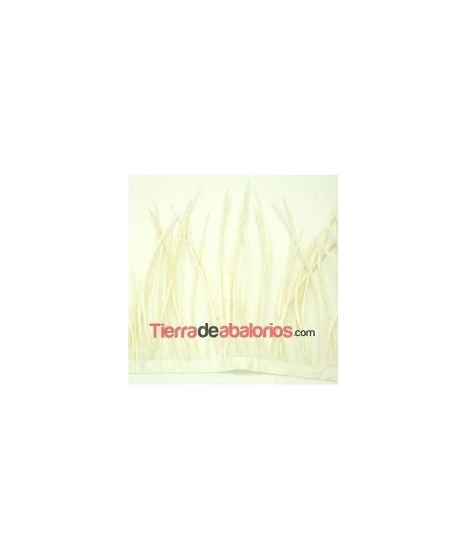Plumas de Oca 14/15cm. Blancas
