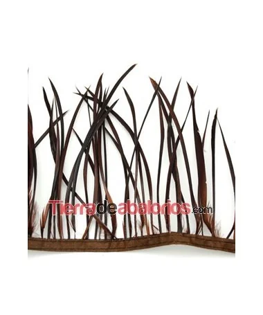 Plumas de Oca 14/15cm. Marrón