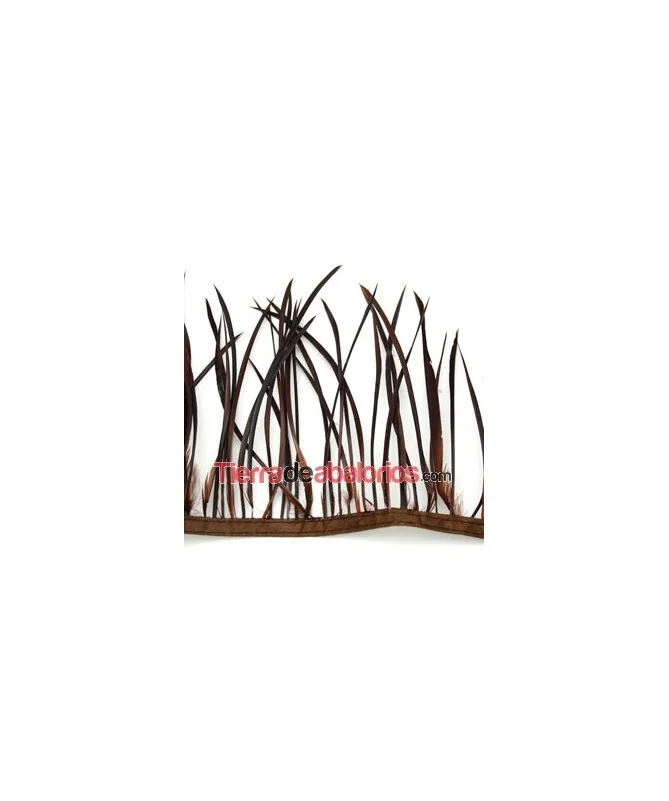 Plumas de Oca 14/15cm. Marrón