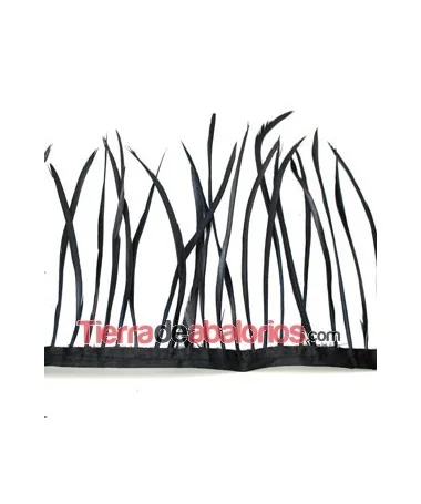 Plumas de Oca 14/15cm. Negras (metro) Plumas de Oca 14/15cm. Negras