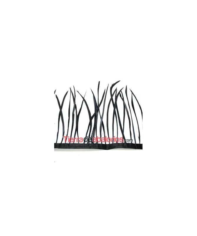 Plumas de Oca 14/15cm. Negras