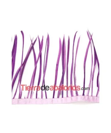 Plumas de Oca 14/15cm. Moradas