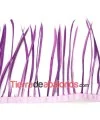 Plumas de Oca 14/15cm. Moradas