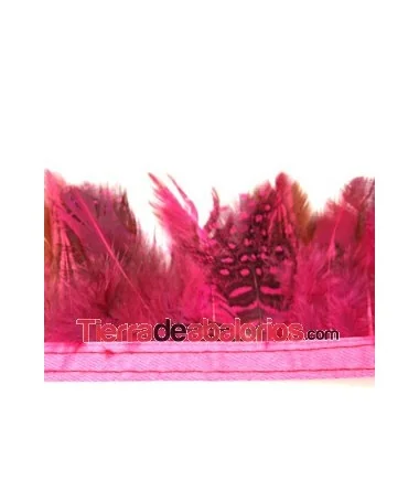 Tira de Plumas de Gallina de Guinea Medianas Magenta 1mt. Tira de Plumas de Gallina de Guinea Medianas Magenta 1mt.