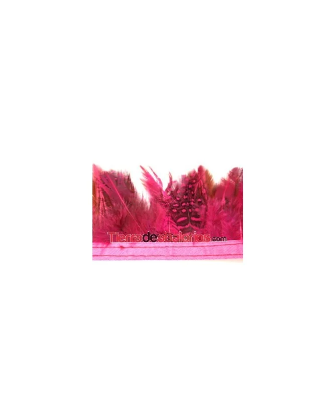 Tira de Plumas de Gallina de Guinea Medianas Magenta 1mt.