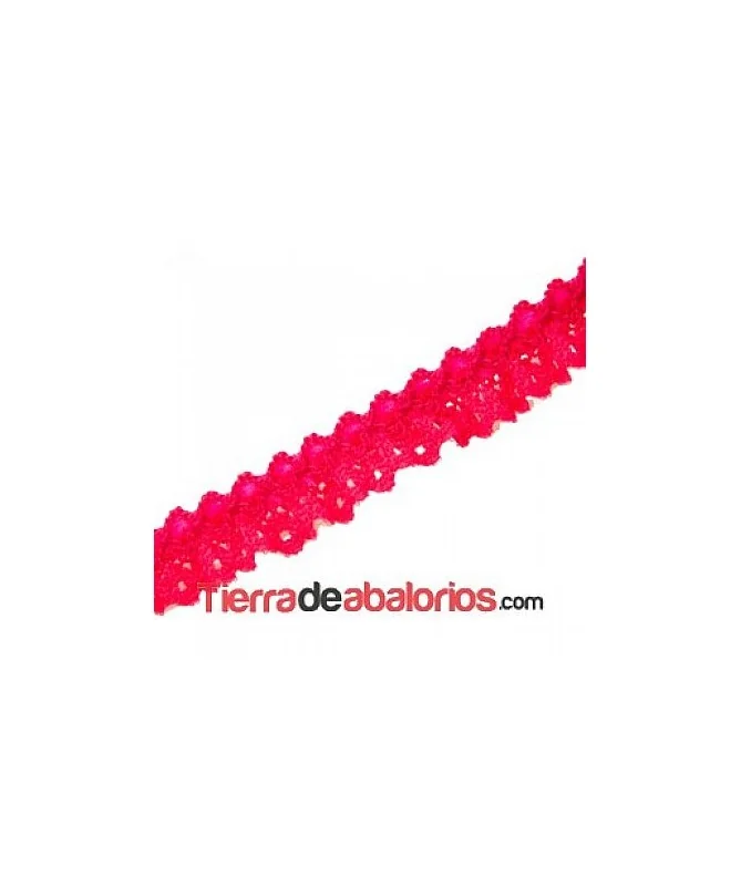 Puntilla 15mm Fucsia