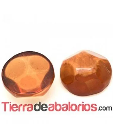 Resina Cabujón Redondo Irregular 15mm Champan