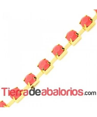 Cadena Dorada con Cabujón Acrílico SS28 Coral Mate Cadena Dorada con Cabujón Acrílico SS28 Coral Mate