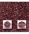 Facetada 8mm amatista