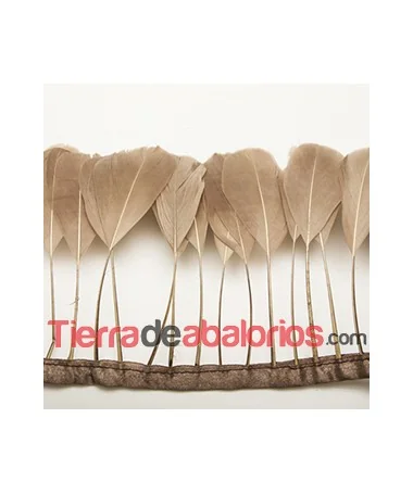 Tira de Plumas de Ganso Marrón Claro (metro)