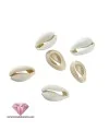 Concha Natural 17x12mm (Pack 10 unidades) Concha Natural 17x12mm (Pack 10 unidades)