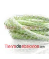 Cordón Nappa 6mm Snake Cream Metallic Green (20cm)